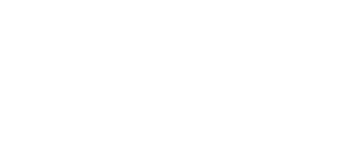 Solvion