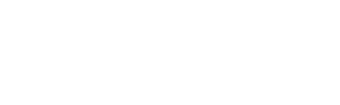 Cosmo Consult